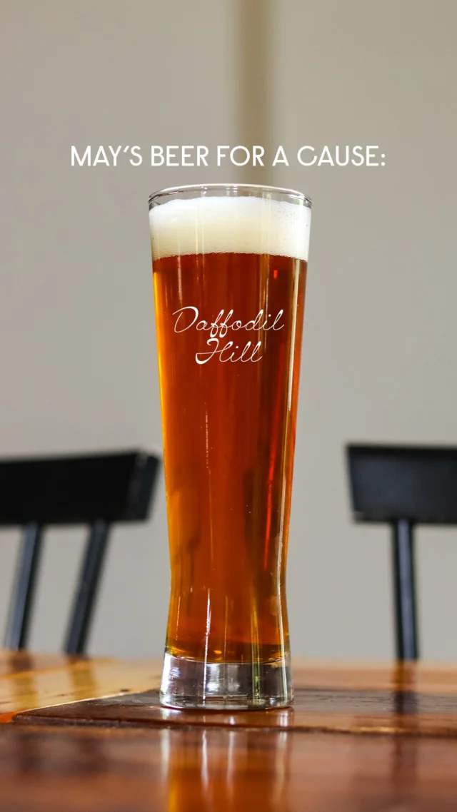 Beer that gives back 🍻 

Bell Tower’s Beer for a Cause is all about turning something simple, like grabbing a beer, into something that truly matters. Each month, a featured brew helps support a cause that impacts real people, real families, and real communities.

For May, Daffodil Hill, our Maibock, is more than just a seasonal favorite. A portion of every pour supports #BrewStacheStrong, a nationwide movement raising awareness and critical funding for brain cancer research in honor of Brain Cancer Research Month. It’s a reminder that even the smallest choices can contribute to something bigger.

Every glass helps spark conversation, spread awareness, and support ongoing research. It may seem like an inconsequential act, but each beer ordered adds up in a powerful way.
Stop in, raise a glass, and be part of something meaningful with every sip of Daffodil Hill.

#beerforacause #drinklocal #craftbeercommunity #KentOhio belltowerbrewingco